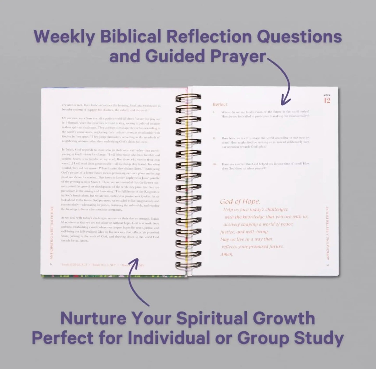 Alabaster A Beautiful Year in the Bible: The 52-Week Bible Study in a Year for Women (Spiral Bound Bible Study)