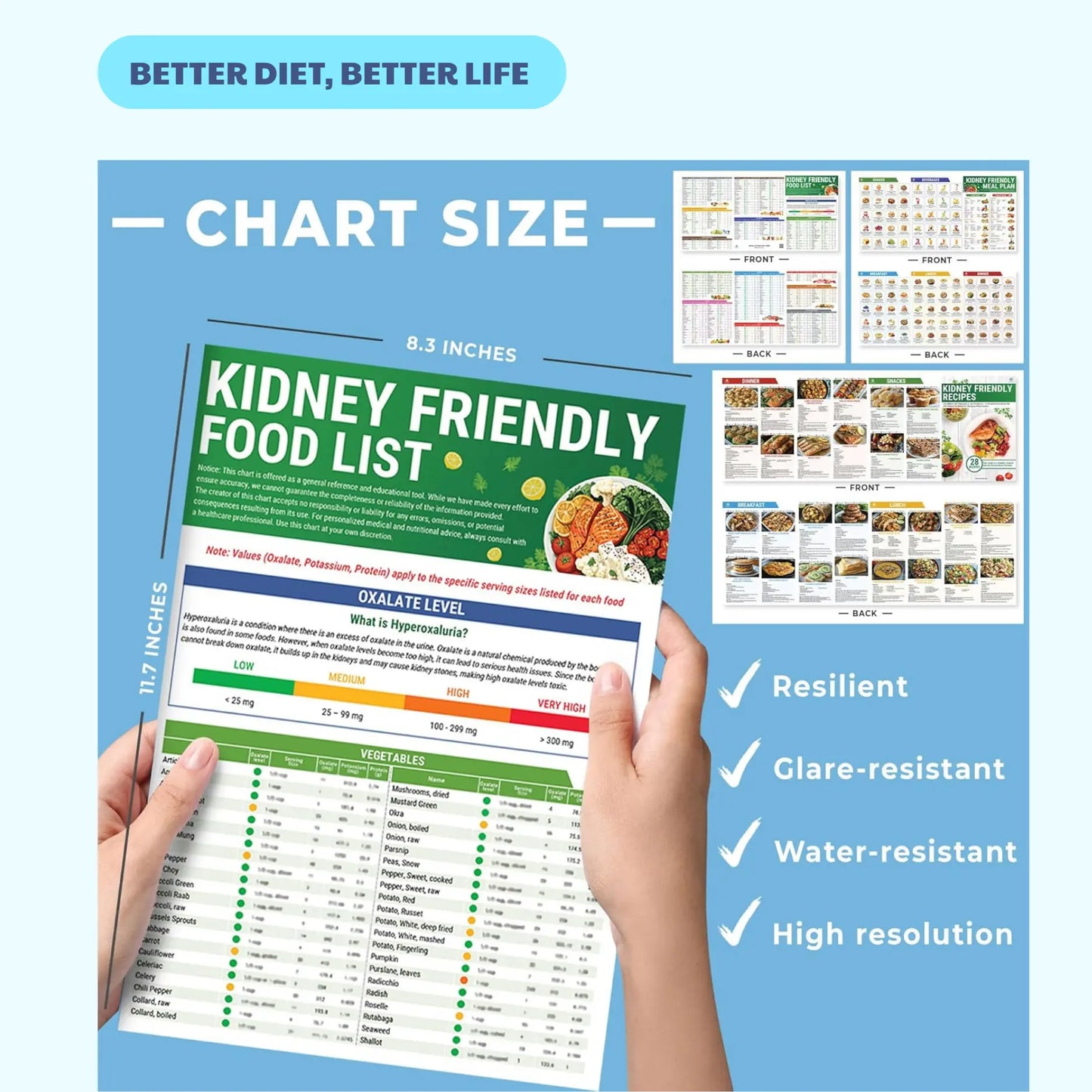 Kidney-Friendly Food Chart & Mediterranean Meal Plan for CKD & Dialysis Low Sodium Potassium Phosphorus Support Hyperoxaluria Oxalate Level Recipes Guide