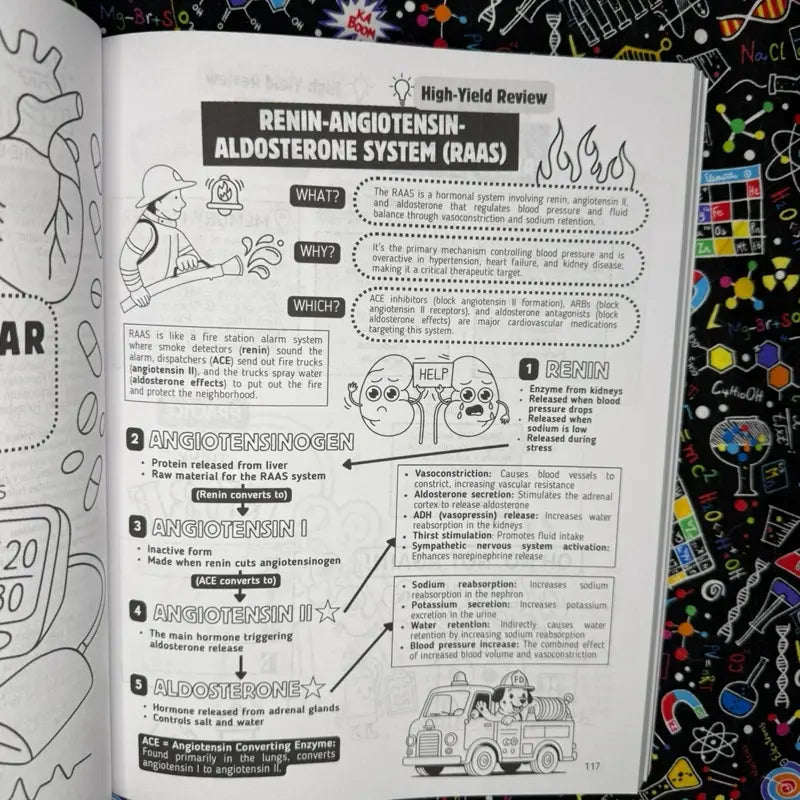 Top 200 Drugs Simplified Pharmacology Coloring Book and Study Guide by P Burns PharmD for Visual Learners