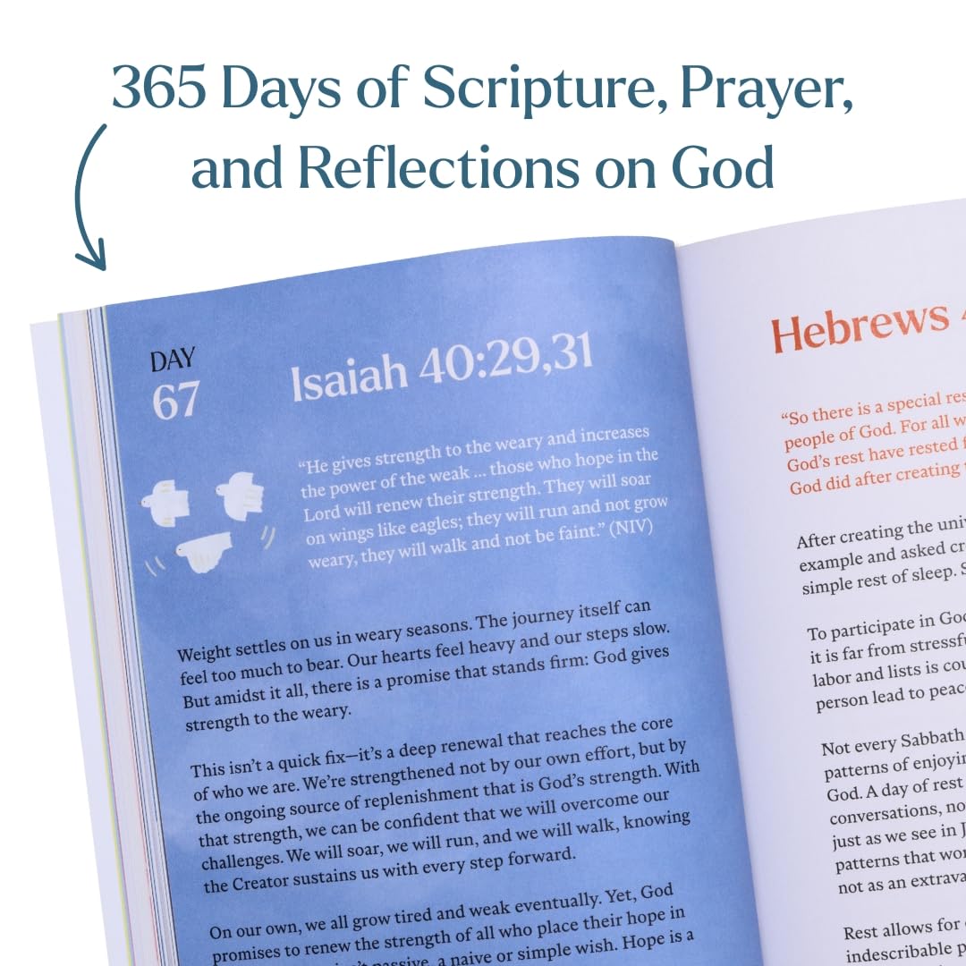 A Beautiful Year with Jesus (SC): The Daily Devotional For 365 Days in the Bible | Bible Study Guide for Spiritual Growth